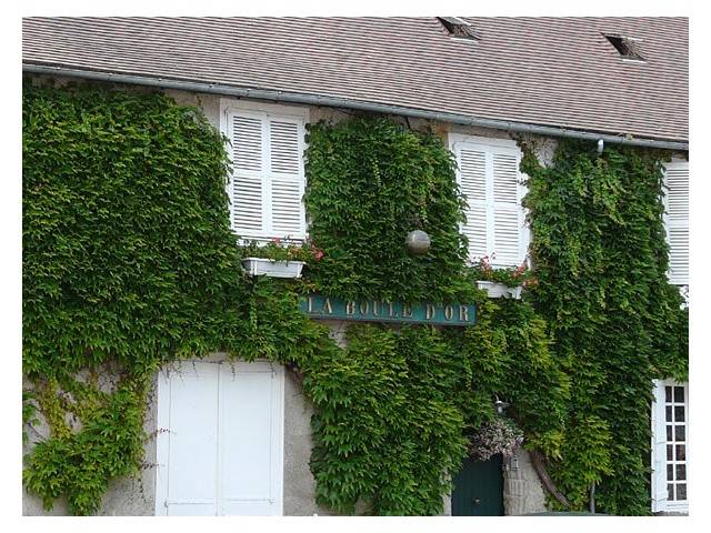 Camping de Montréal (8)